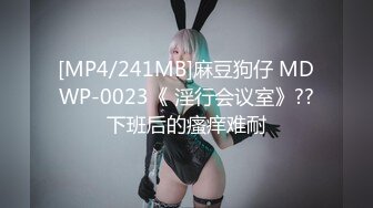 [MP4/241MB]麻豆狗仔 MDWP-0023《 淫行会议室》??下班后的瘙痒难耐