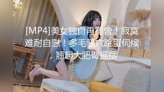 昌乐某酒店窗前后入饥渴少妇