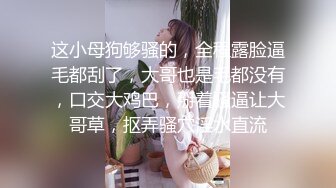 好长的一根搞屎棍