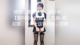 [MP4/ 332M] 混血大眼小仙女最新作品被狂干屁眼肛门都一个大黑洞