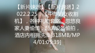 重磅精品小骚货 2月作品『狐之灵梦』Roly Poly 丰乳极限诱惑写真2V[70P/1.87G]