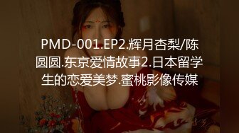 PMD-001.EP2.辉月杏梨/陈圆圆.东京爱情故事2.日本留学生的恋爱美梦.蜜桃影像传媒