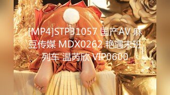 [MP4]STP31057 国产AV 麻豆传媒 MDX0262 艳遇末班列车 温芮欣 VIP0600