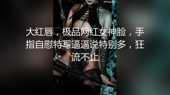 麻豆传媒 MD-0277《街头猎艳单身欲女》金钱利诱公厕口爆-艾熙