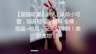 [2DF2]探花大神铁牛哥约嫖网红脸蛋大奶外围美女沙发上草手机没电翻车 - soav_ev [MP4/148MB][BT种子]