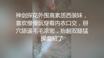 圣诞节让老婆穿上情趣内衣