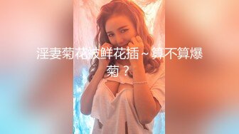 小宝寻花极品超模甜美小姐姐