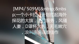 [MP4/ 509M]&nbsp;&nbsp;一个小卡拉，计划扛起海外探花的大旗，上门服务，风骚人妻，D罩杯大胸，无毛嫩穴，浪叫连连淫靡佳作