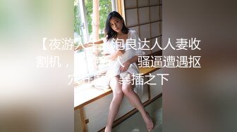 【11月震撼流出】只約漂亮的美人妻，推特20W粉大V網黃【秀才】最新私拍，各種露臉反差小姐姐被花式爆肏，全是極品妞真羨慕～高清原版 (4)