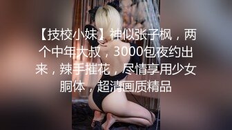 超美巨乳模特安吉