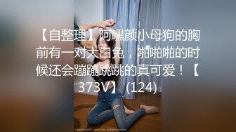 ：伊法 - 喜欢就把伊法买下来推回家