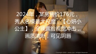 2024年，某房售价176元，秀人名模最大尺度，【心妍小公主】，全裸露脸视觉冲击，画质清晰，可见阴唇