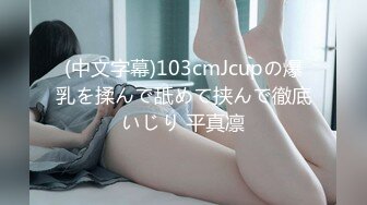 [MP4/ 198M]&nbsp;&nbsp; 大奶美眉 被后入啪啪 呻吟不停 这颜值身材都不错