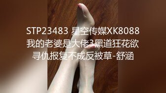 STP23483 星空传媒XK8088我的老婆是大佬3黑道狂花欲寻仇报复不成反被草-舒涵