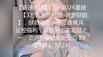 對魔忍不知火～淫欲的奴隸娼婦～