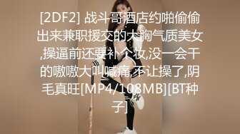 武汉华美达后入小母狗