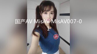 国产AV MisAV MisAV007-01