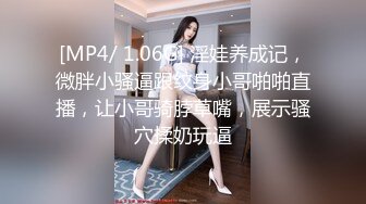 骚老婆发骚