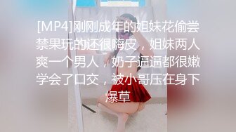 巨乳翘臀美鲍犹如硅胶娃娃，P站火爆极品夫妻【FantasyBabe】收费作品，最完美的性爱享受，视觉盛宴