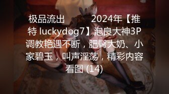 极品流出❤️❤️2024年【推特 luckydog7】泡良大神3P调教艳遇不断，肥臀大奶、小家碧玉，叫声淫荡，精彩内容看图 (14)