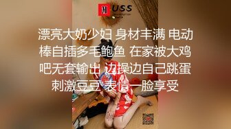 麻豆传媒-宅男强奸落网神偷-艾秋