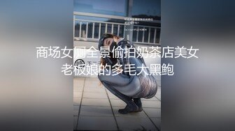 《水冰月大战蝙蝠侠 不同次元与宇宙的正义使者之战》