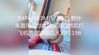 [MP4]大胸 少妇 黑丝 白毛巾 新人手法老练 第二场的妹子一样的口味