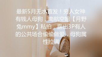 最新5月无水首发！穷人女神有钱人母狗，南航空姐【月野兔mmy】私拍，露出3P有人的公共场合偸偸做爱，母狗属性拉满