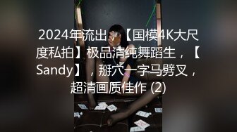 2024年流出，【国模4K大尺度私拍】极品清纯舞蹈生，【Sandy】，掰穴一字马劈叉，超清画质佳作 (2)