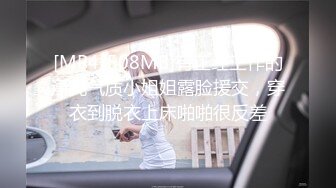 高跟黑丝吊带丝袜御姐 屁眼肛塞尾巴做爱 像只小母狗非常带劲 爆艹内射欲求不满