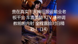 贵在真实！大神征服运输业老板千金 车震美腿 KTV 各种调教啪啪内射 全程露脸对白精彩！ (14)